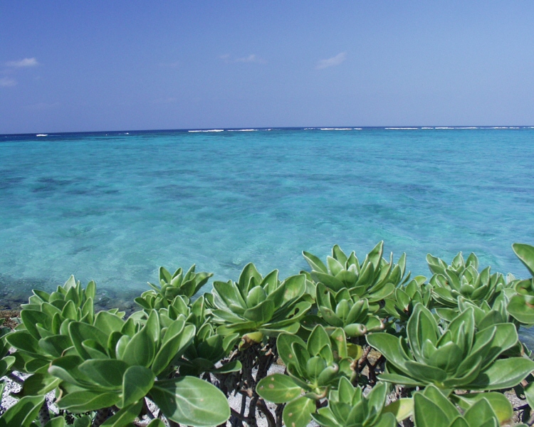 サンマリーナホテル　－沖縄旅行のための海の写真集