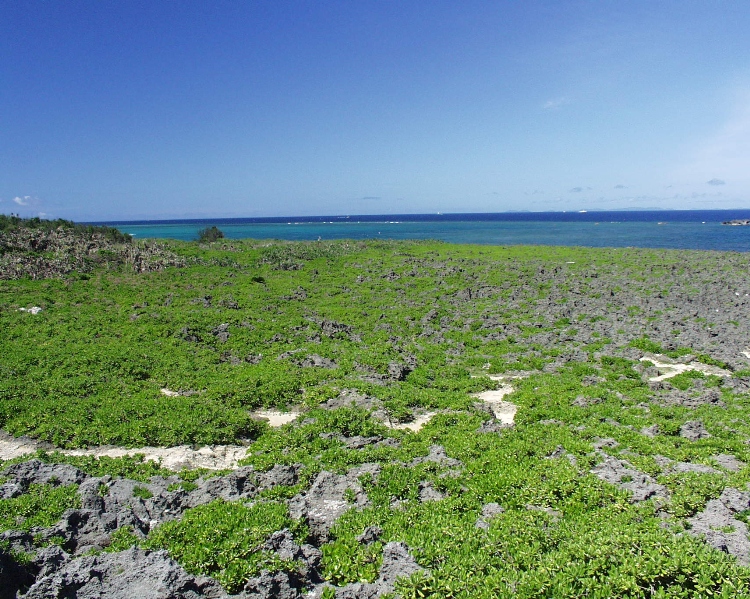残波岬－沖縄旅行のための海の写真集